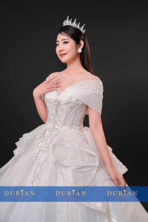 Váy cưới công chúa DR8841