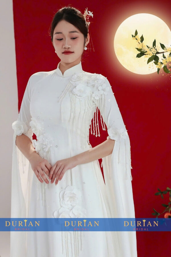 Áo dài cưới cô dâu DR6828 mẫu 2